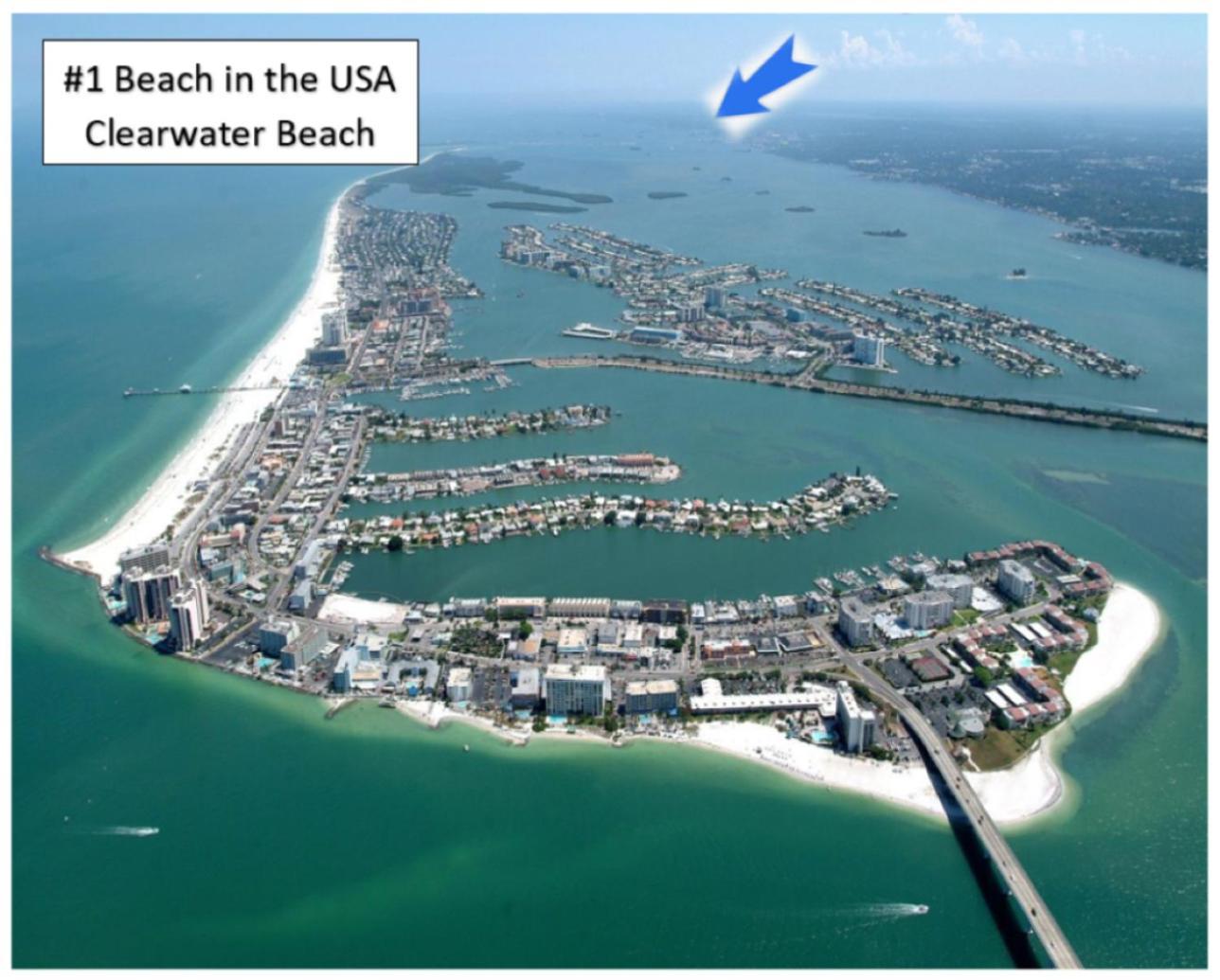 Beaches, Parks, Downtown, Trail, Breweries, Bikes, Gameroom Palm Harbor Eksteriør billede